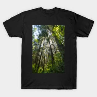 Salal Trail - Green Timbers Urban Forest T-Shirt